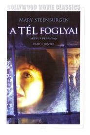 A tél foglyai 1991