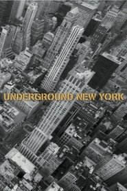 Poster of undefined