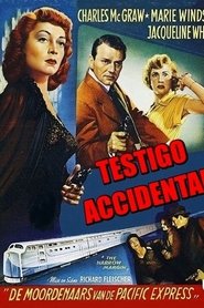 Imagen de Testigo accidental