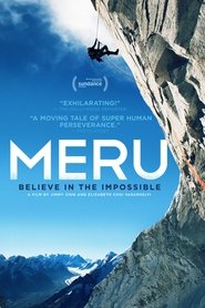 Imagen de Meru: odisea en el Himalaya