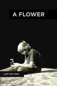 Film En blomst streaming VF complet