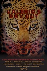 Imagen de Valerio's Day Out