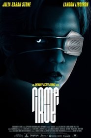 Film Come True streaming VF complet