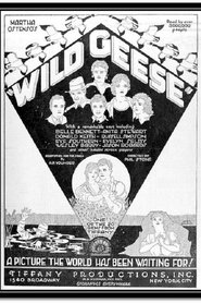 Wild Geese