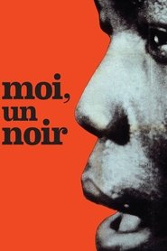 Moi, un noir
