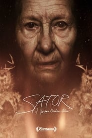 Poster for Sator (2019)