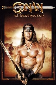 Imagen de Conan, el destructor