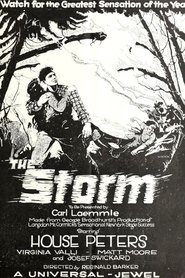 Film The Storm streaming VF complet