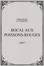 Film Bocal aux Poissons-Rouges streaming VF complet