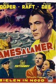 Film Souls at Sea streaming VF complet