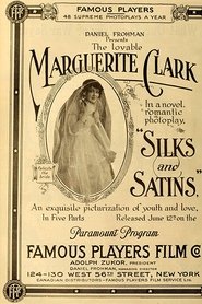 Film Silks and Satins streaming VF complet