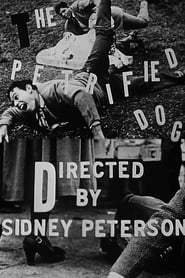Film The Petrified Dog streaming VF complet