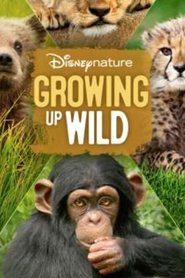 Film Grandir streaming VF complet