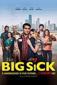 The Big Sick: Il matrimonio si può evitare... l'amore no 2017