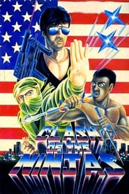 Film Clash of the Ninjas streaming VF complet