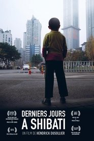 Film Derniers jours à Shibati streaming VF complet