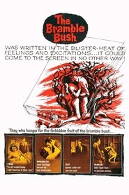 Film The Bramble Bush streaming VF complet