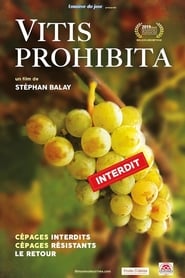 Film Vitis Prohibita streaming VF complet