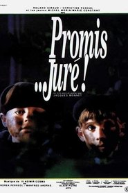 Promis... juré ! streaming sur filmcomplet