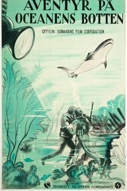 Film Wonders of the Sea streaming VF complet