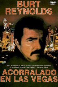Imagen de Acorralado en Las Vegas