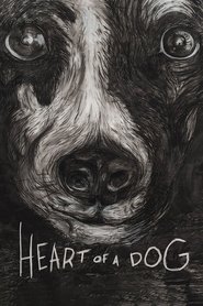 Poster of undefined