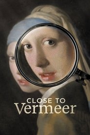 Imagen de Cerca de Vermeer