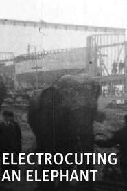 Film Electrocuting an Elephant streaming VF complet