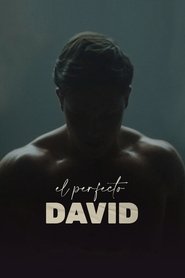 Imagen de El perfecto David