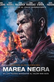 Deepwater Horizon (Marea negra)