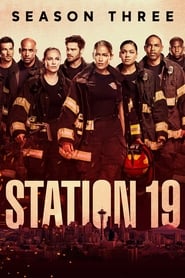 Grey's Anatomy : Station 19