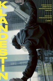 Poster of undefined