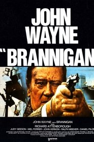 Film Brannigan streaming VF complet