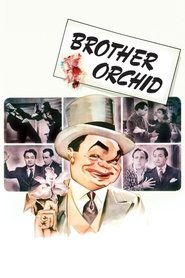 Poster of undefined
