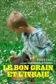 Film The Good Grain and the Chaff streaming VF complet