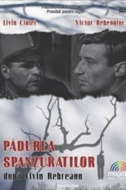 Film La Forêt des pendus streaming VF complet