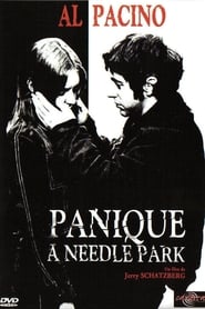 Panique à Needle Park