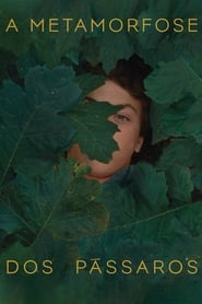 Film A metamorfose dos pássaros streaming VF complet