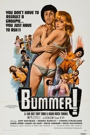 Film Bummer streaming VF complet