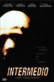 Film Intermedio streaming VF complet
