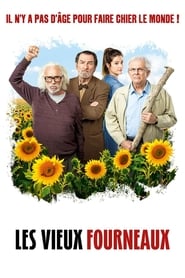 Film Les Vieux Fourneaux streaming VF complet