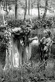 Film A Midsummer Night's Dream streaming VF complet