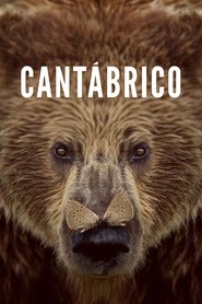 Imagen de Cantábrico