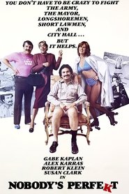 Film Nobody's Perfekt streaming VF complet