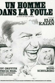 Film Un Homme dans la foule streaming VF complet