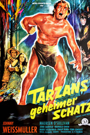 Tarzans geheimer Schatz 1941