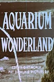 Aquarium Wonderland streaming sur filmcomplet