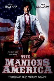 Poster of The Manions of America
