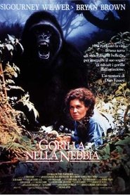 Gorilla nella nebbia 1988