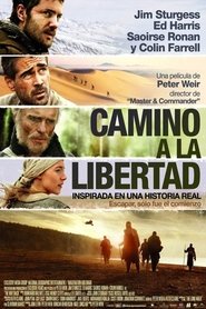 Imagen de Camino a la libertad